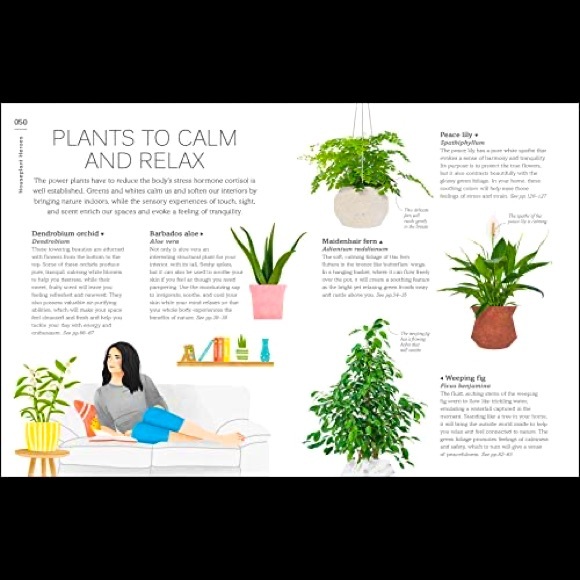 My Houseplant Changed My Life: Green well-being for the great indoors - Picture 4 of 7